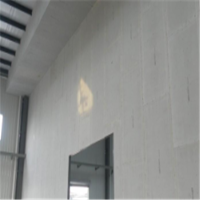 汝南宁波ALC板|EPS加气板隔墙与混凝土整浇联接的实验研讨